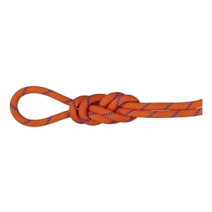 9.0 Alpine Sender Dry Rope