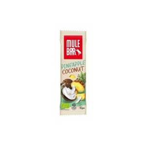 Barre énergétique Bio & Vegan 40g : Ananas - Coco - Baies de goji