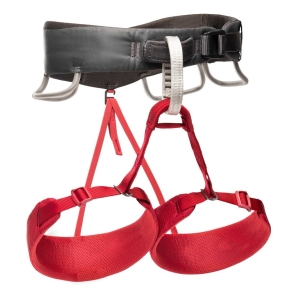 Momentum Harness