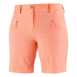 Wayfarer LT-Shorts