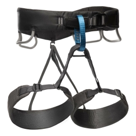 Momentum Harness