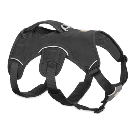Web Master Harness